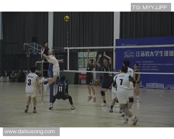 南京排球队团队协作创新高展现团结精神与拼搏风貌