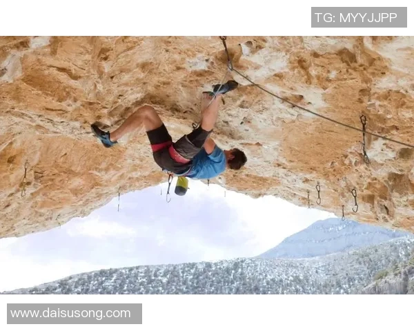 运动数据攀岩新手必看指南从零基础到实力提升的全面攻略